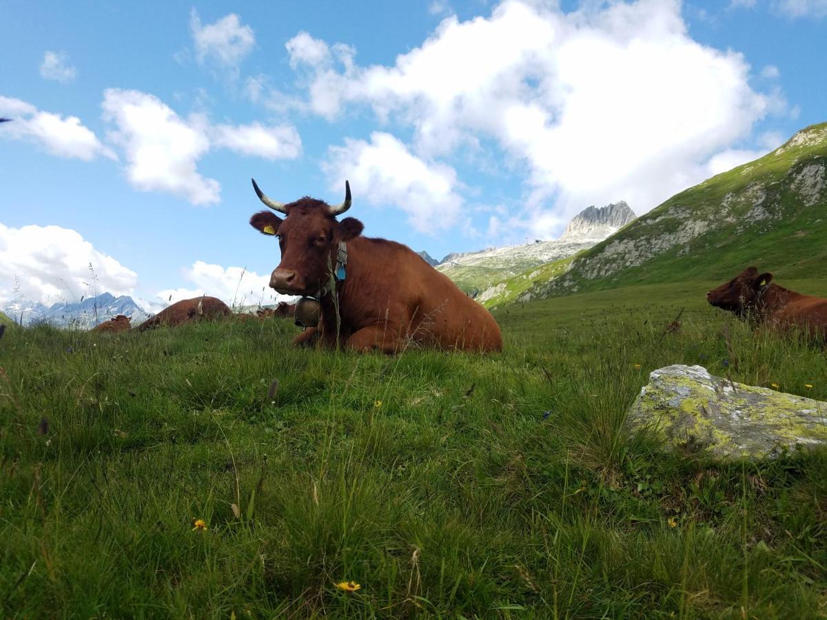 Tgesa Felici Sedrun Exterior foto
