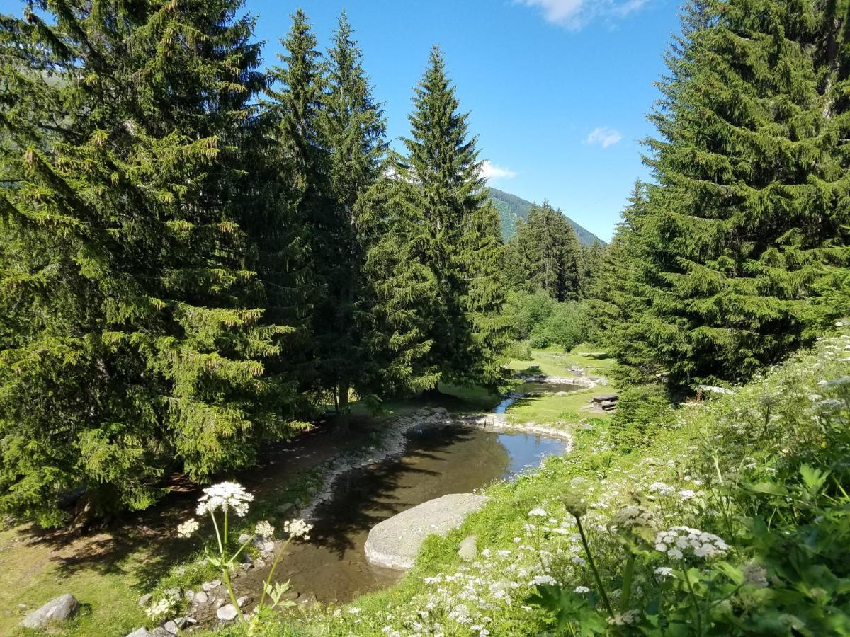 Tgesa Felici Sedrun Exterior foto